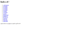 Tablet Screenshot of pagnucci.iupdhc.org